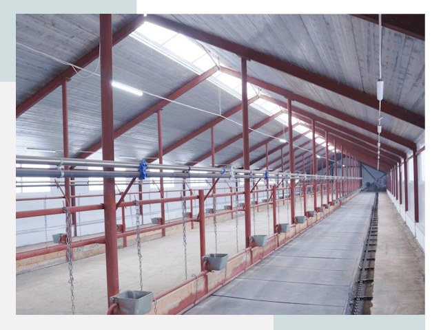 Строительство коровников в Усолье-Сибирском от 619 руб.