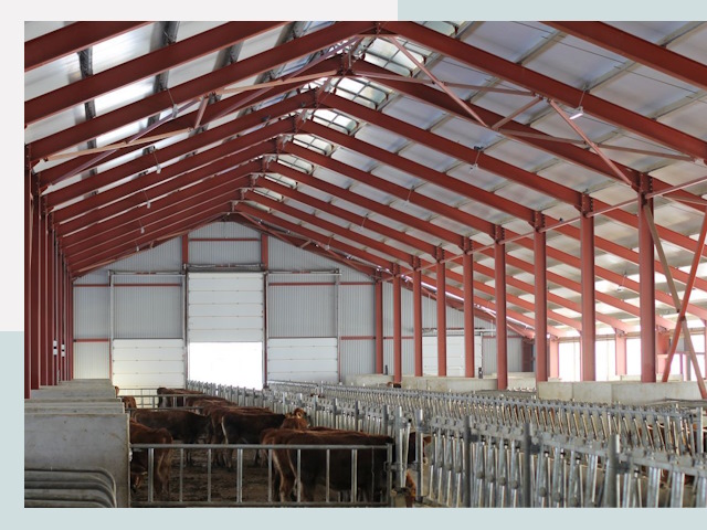 Строительство коровников в Усолье-Сибирском