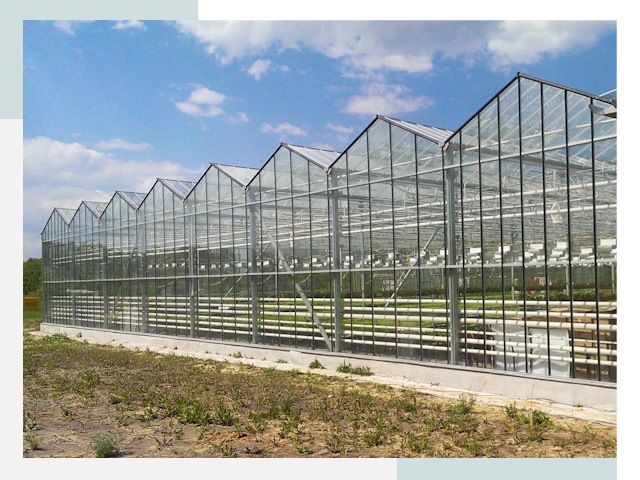 Строительство теплиц в Усолье-Сибирское от 619 руб. за м²