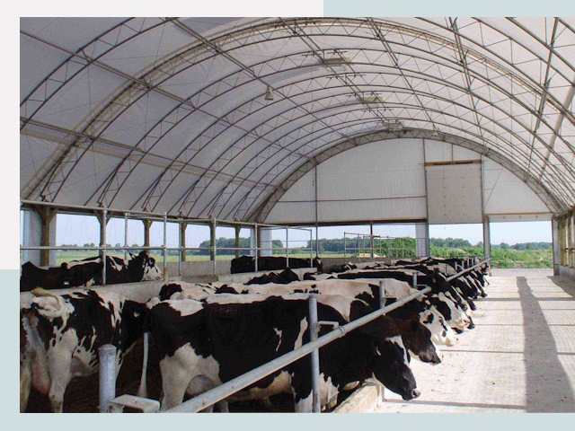 Тентовые коровники в Усолье-Сибирском
